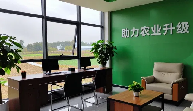种苗供应中的常见问题与实际应对策略